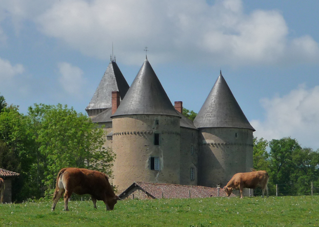 Château de Brie