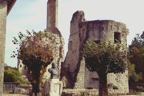 CHATEAU LES CARS